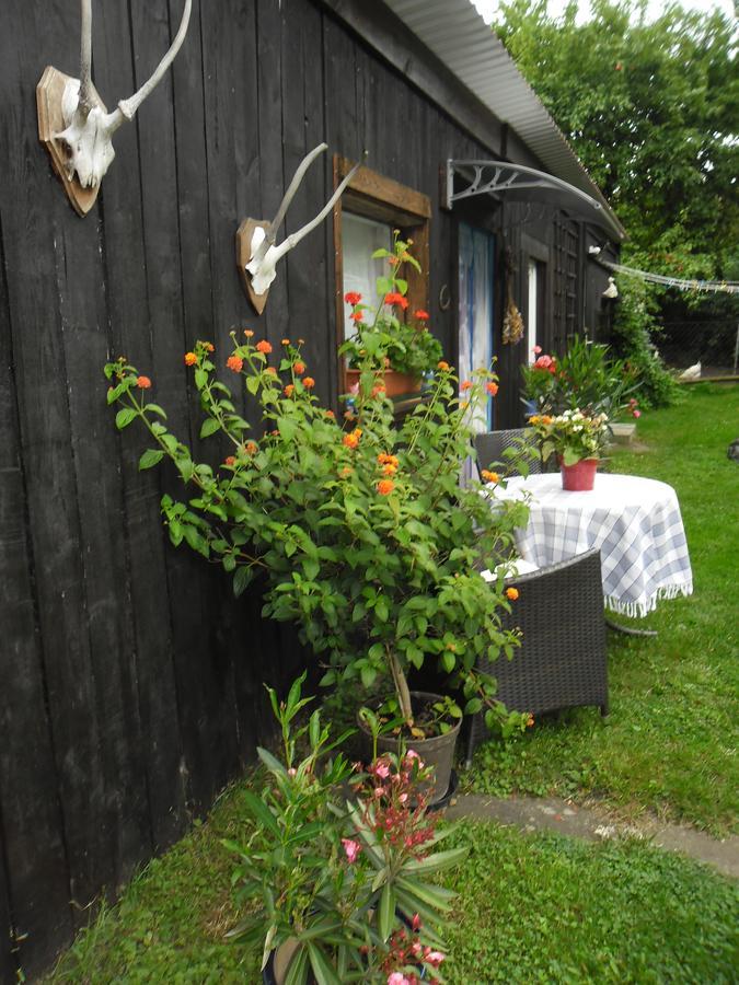 Ferienwohnung Praelank Neustrelitz Esterno foto